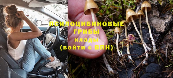 дмт Арсеньев