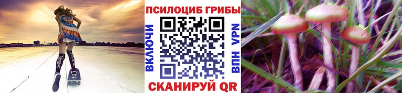 Галлюциногенные грибы мицелий  Бирюсинск 